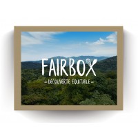 box-commerce-equitable-fairbox-coffret-100% equitable-bio-producteurs-artisans-du-monde-decouverte