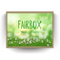 fairbox-box-printemps-saveurs-printanieres-cadeau-equitable