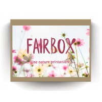 fairbox-coffret-equitable-bio-printemps-nature-gourmandise-epicerie-artisanat-artisans-du-monde